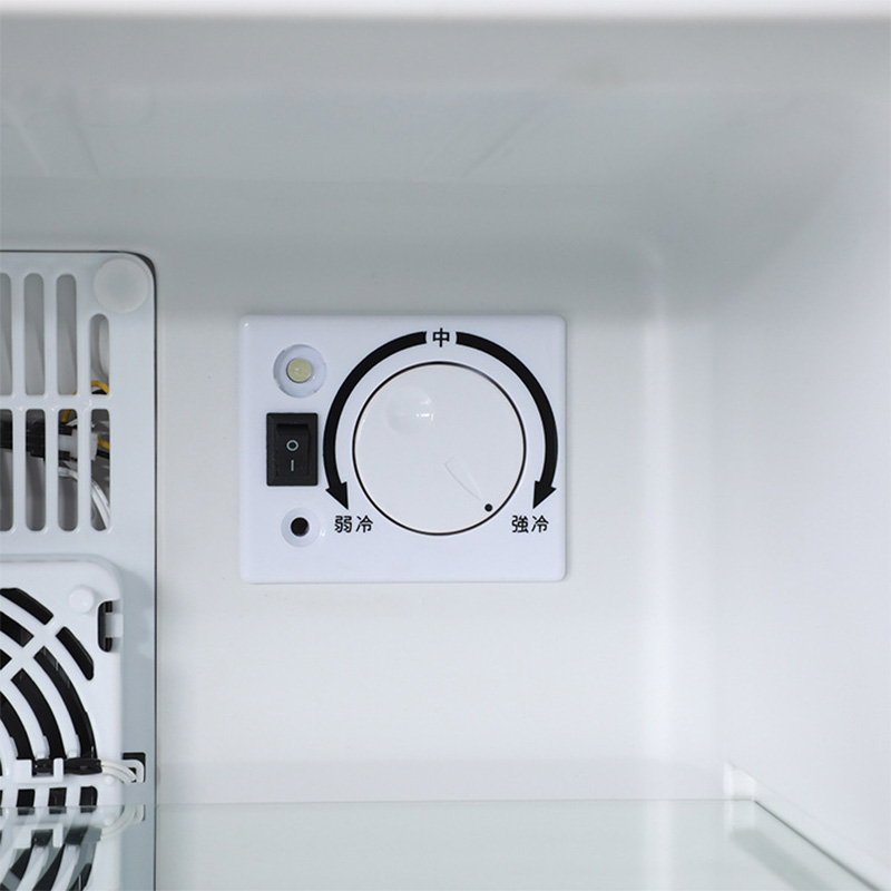 Mini refrigerador refrigerador - Wine Beer Cooler Fridge reseña y precio