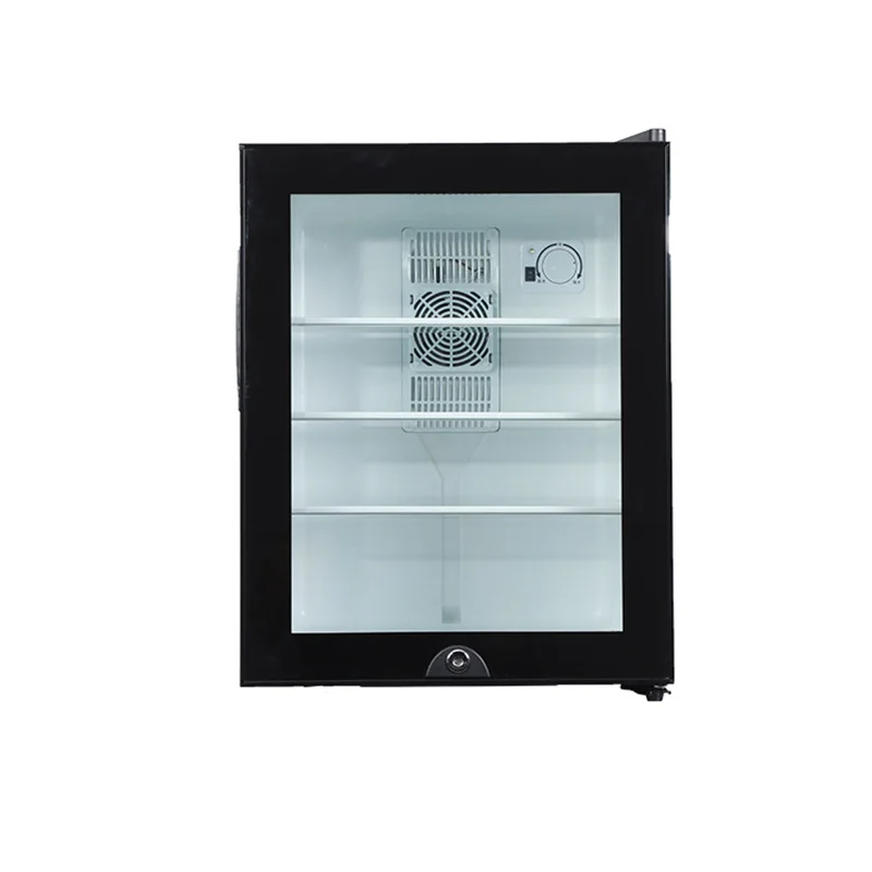 Mini refrigerador refrigerador - Wine Beer Cooler Fridge reseña y precio