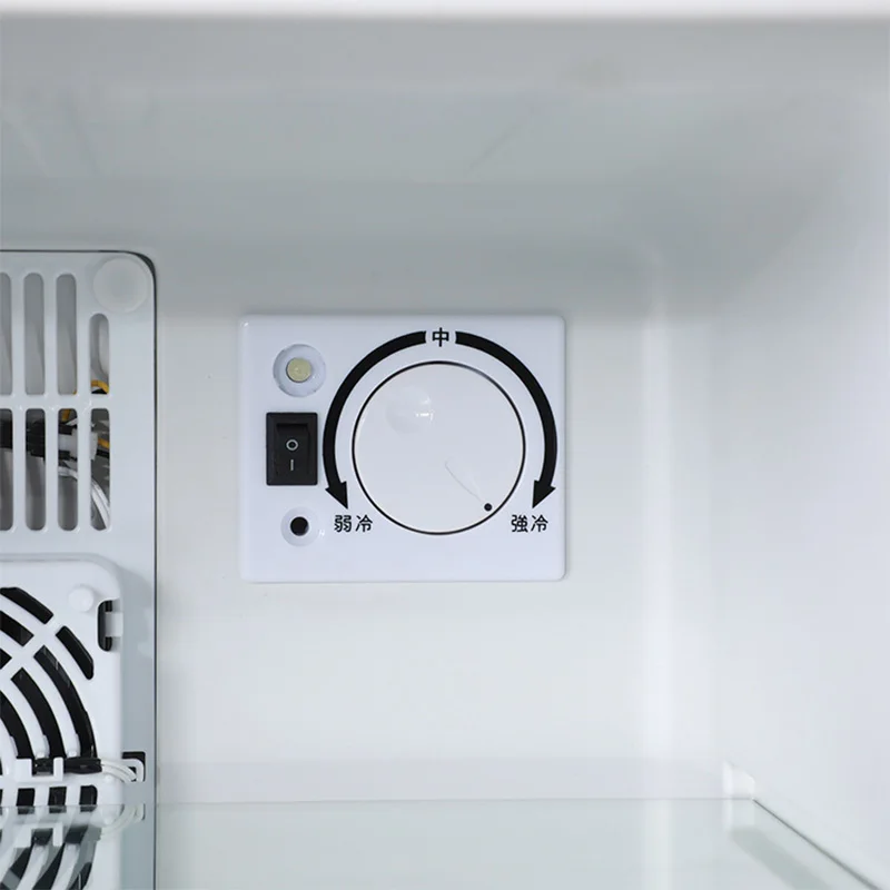 Mini refrigerador refrigerador - Wine Beer Cooler Fridge reseña y precio